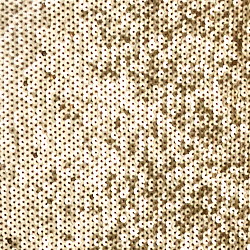 Champagne