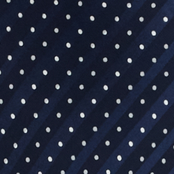 Navy/White