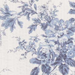 Cream/Light Blue