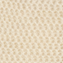 Creme