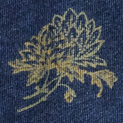 Indigo/Yellow