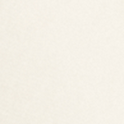 Antique Cream