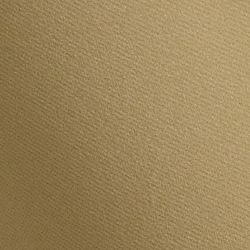 Polo Tan