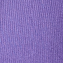 Purple Lilac