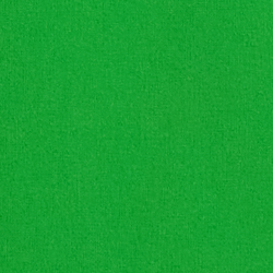 Palm Green
