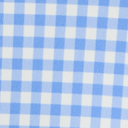 Summer Blue Gingham