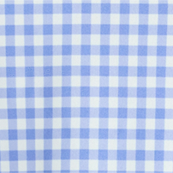 Summer Blue Gingham