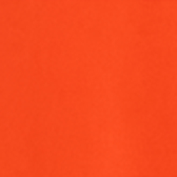 Bright Poppy