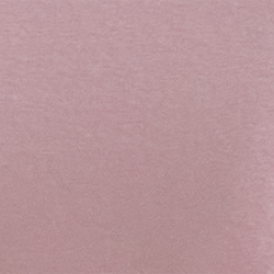 Rose du jardin