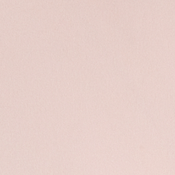 Acacia Pink