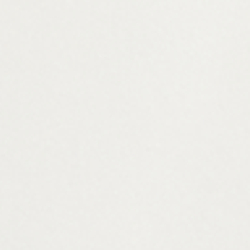 Ceramic White/Refined Navy