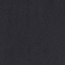 Polo Black