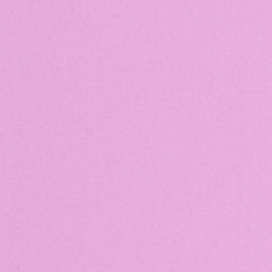 Petal Purple