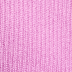 Petal Purple