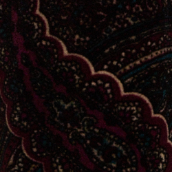 Multi Paisley