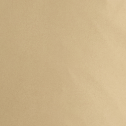 Birch Tan