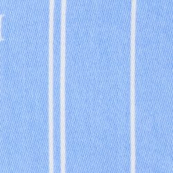 Blue Print