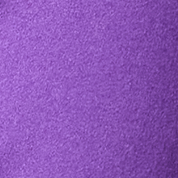 Bright Purple
