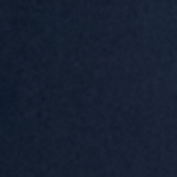 Icon Navy