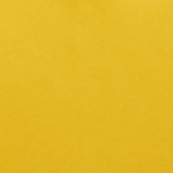 Racing Yellow