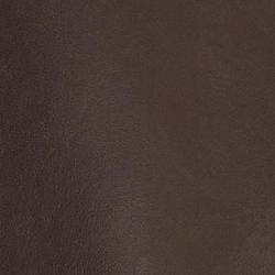 Luggage Brown