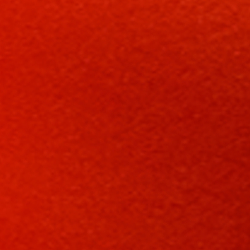 Bright Orange