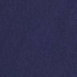 Icon Navy