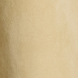 Icon Tan