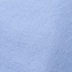 Bleuet