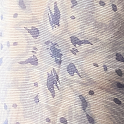 Blue Multi