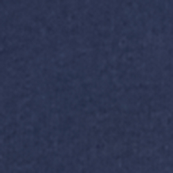 Icon Navy