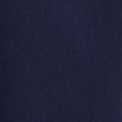 Icon Navy