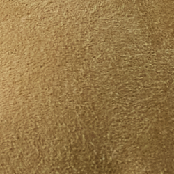Sandbraun