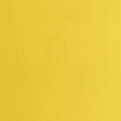 Racing Yellow