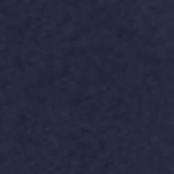 Icon Navy