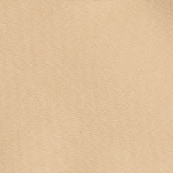 Icon Tan