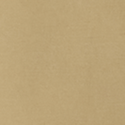 Birch Tan