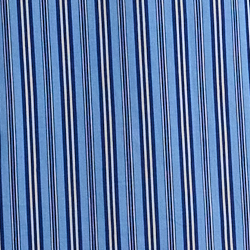 Blue Stripe