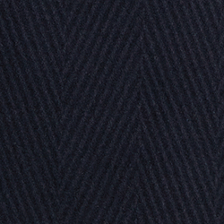 Regal Navy