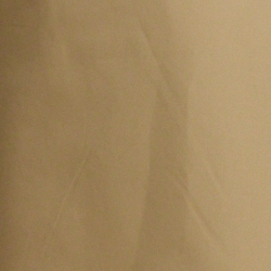 Birch Tan