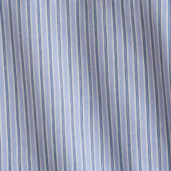 Blue Stripe