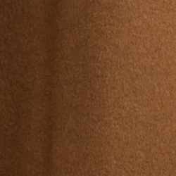 New Vicuna