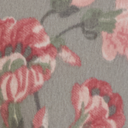 Stampa grigio