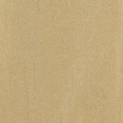 Birch Tan