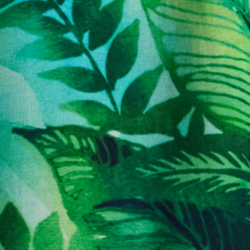 Cartago Palms