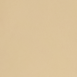Birch Tan