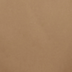 New Tan