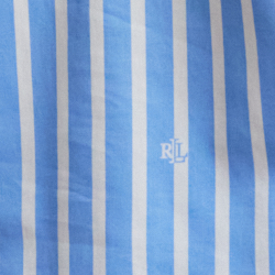 Blue Print