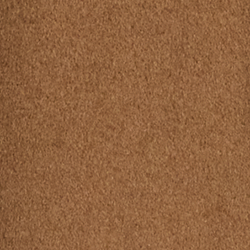 New Vicuna