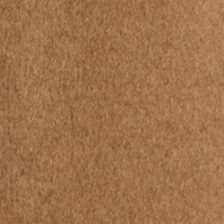 New Vicuna